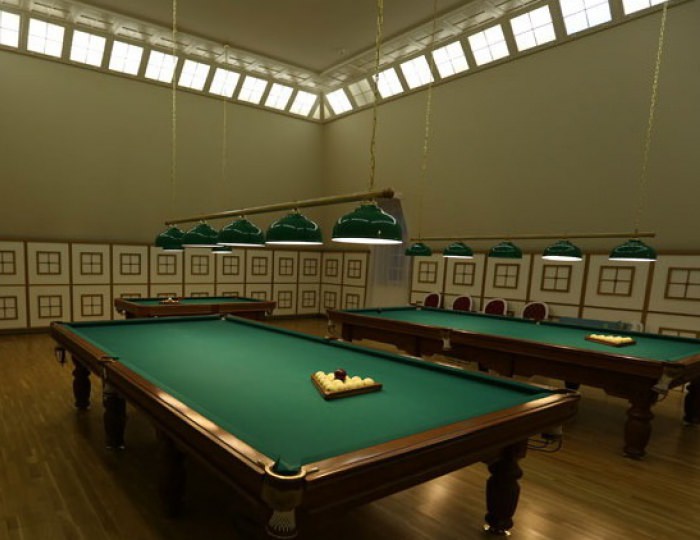 Бильярд - Санаторий «Вороново»
