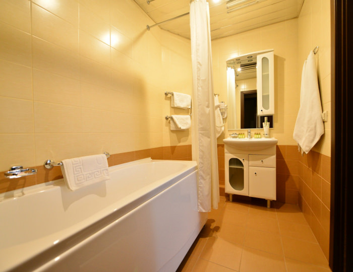 Полулюкс 2-местный 2-комнатный корпус №1 с видом на пруд - Санаторий «Вороново»