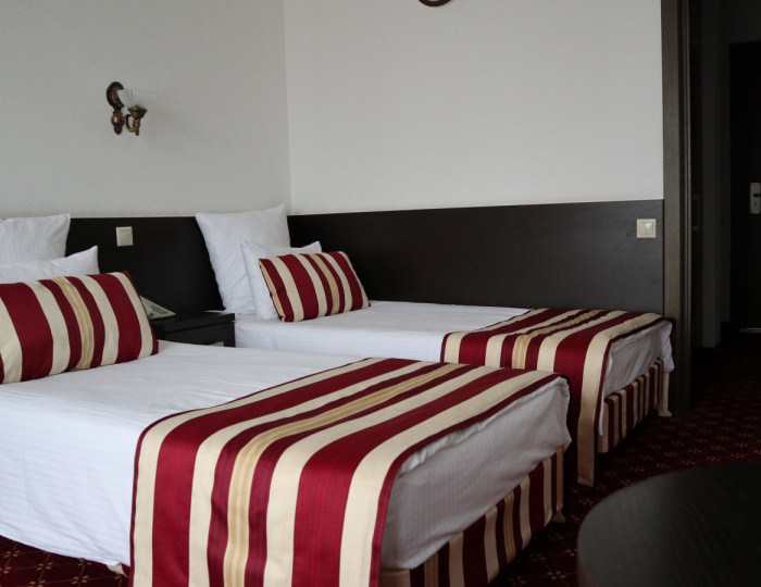 Стандарт 2-местный 1-комнатный корпус № 1 с видом на лес - Санаторий «Вороново»