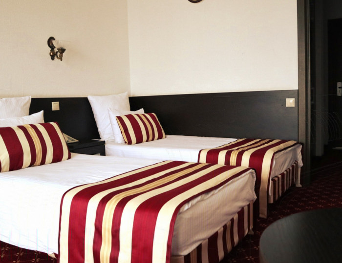 Стандарт 2-местный корпус №1 с видом на пруд - Санаторий «Вороново»