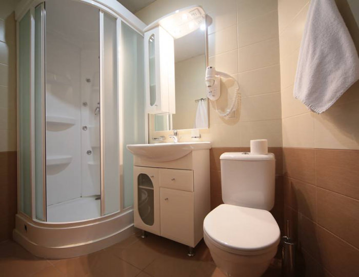 Стандарт 2-местный корпус №1 с видом на пруд - Санаторий «Вороново»