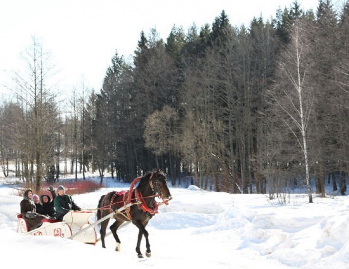 Конные прогулки